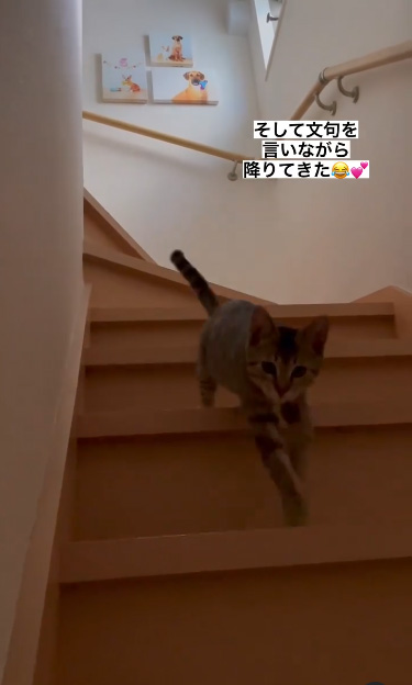 近づいてきたワカメちゃん