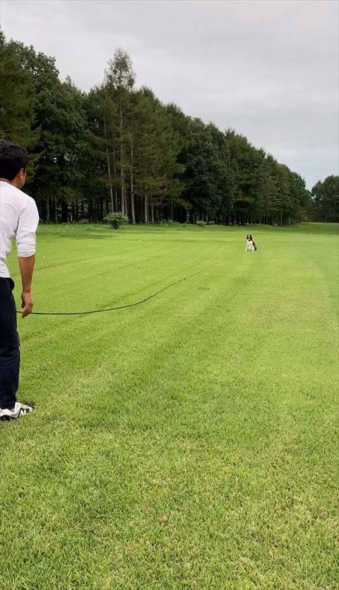 立ってるパパさんとワンコ