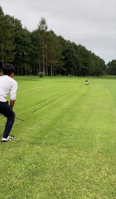 中腰のパパさん