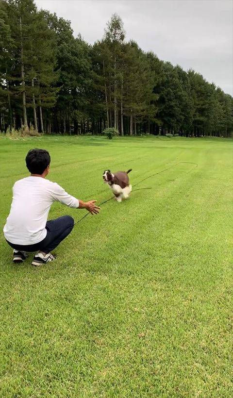 パパさんの前に来たワンコ