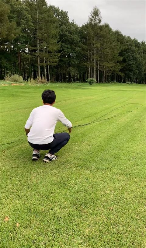 パパさんのみの画像