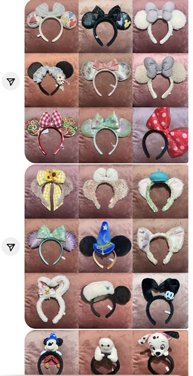 非オタとディズニーガチ勢の会話（2）