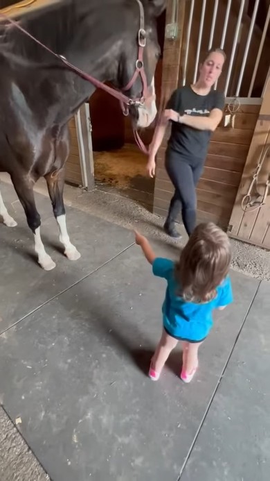 馬と会話する女の子