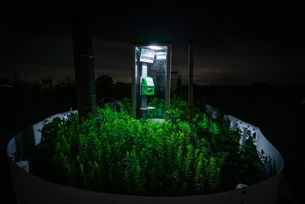 どうやって入るの!?　ガードレールに囲まれた謎の電話ボックスが話題　夜中の不気味さは特級レベル