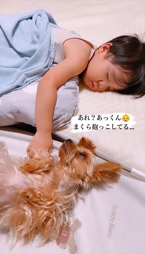 上にいる息子さんを見上げるワンコ