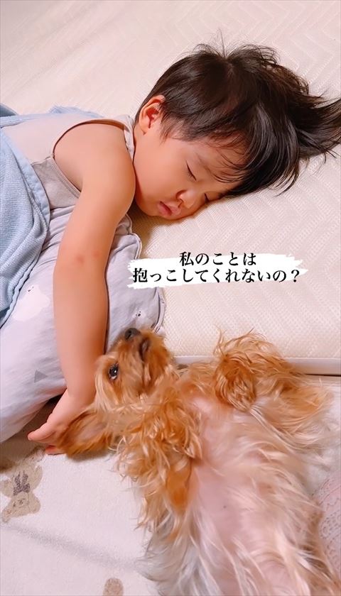 抱っこしてくれないのテロップとチラ見