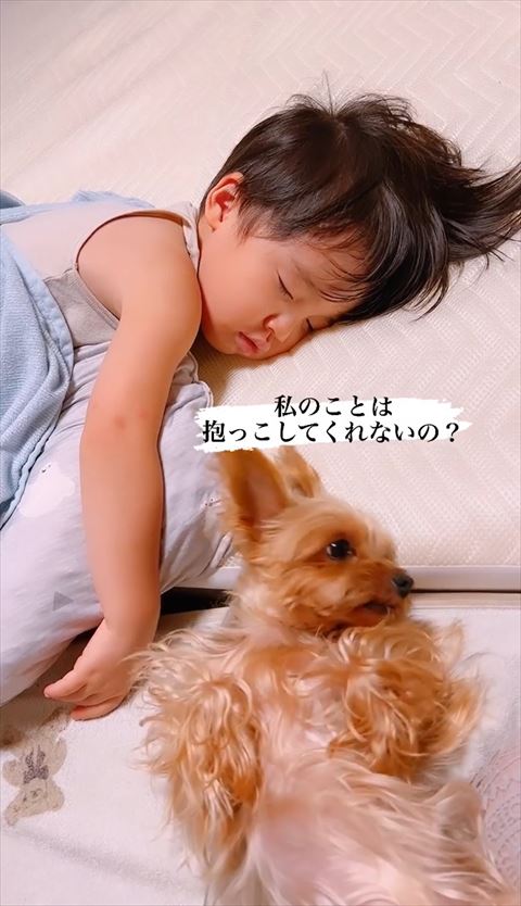 右を見るワンコ