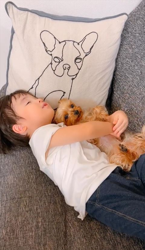 ソファにいるワンコと息子さん