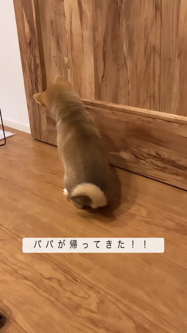 扉の前