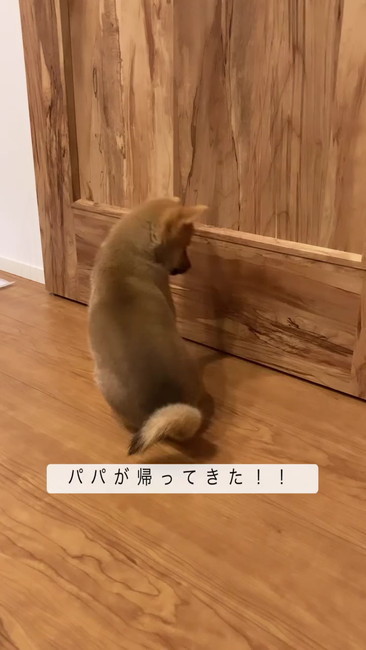 音を聞く