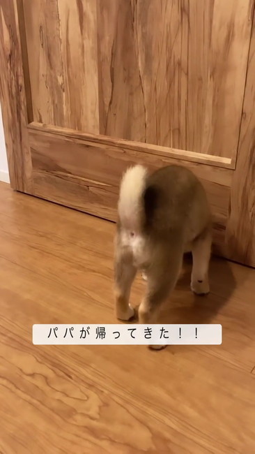 鼻をつっこむ