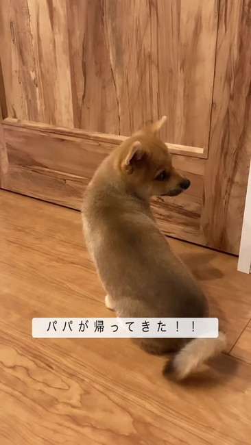 ママに呼ばれる