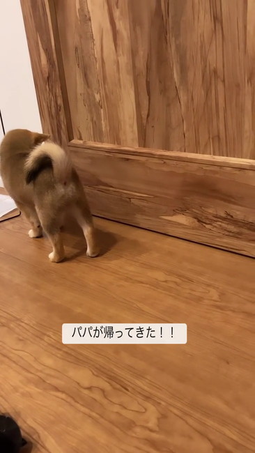 こっちかな？