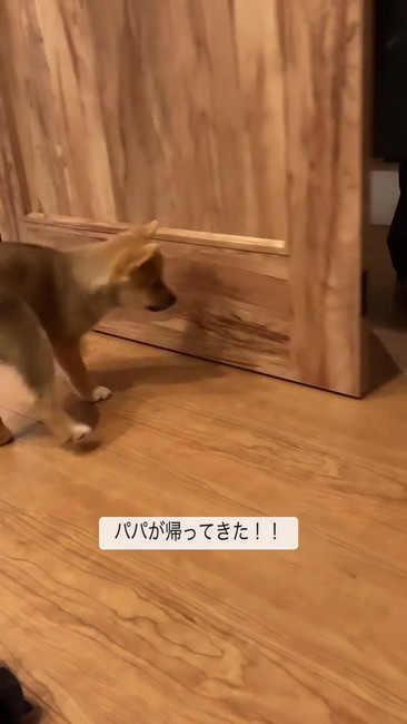 扉が開く