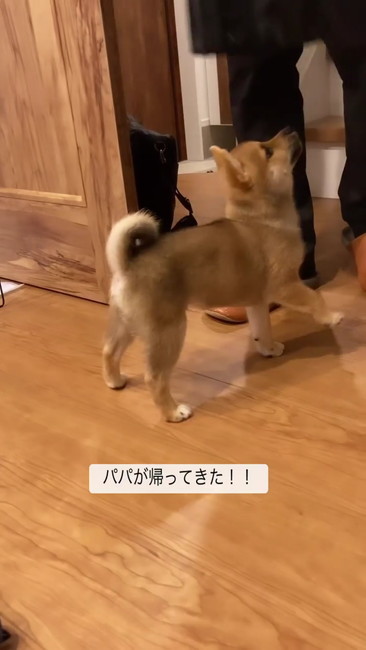おかえり