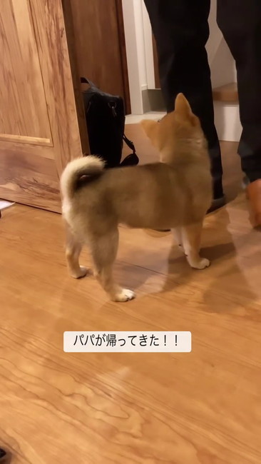 おかえり2