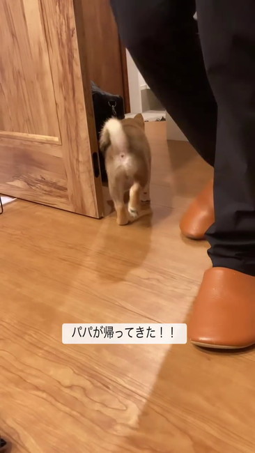 じゃあね
