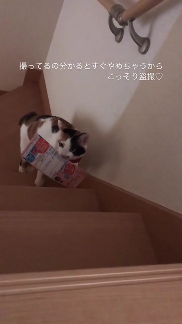 みつかっちゃった