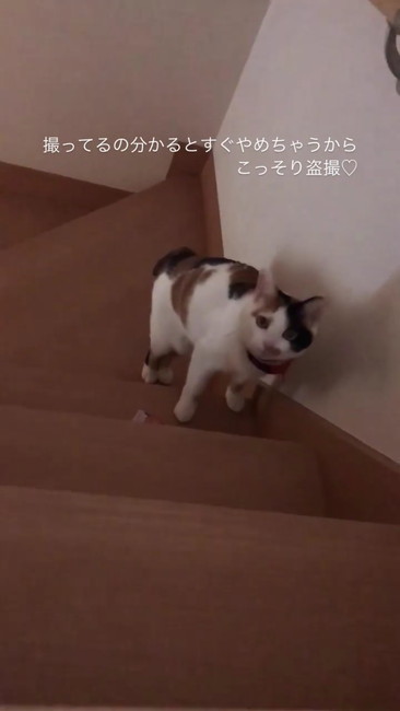 じーっと見る