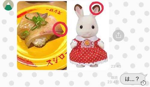 漬けハマチとシルバニアファミリー