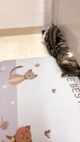 イタズラバレちゃった