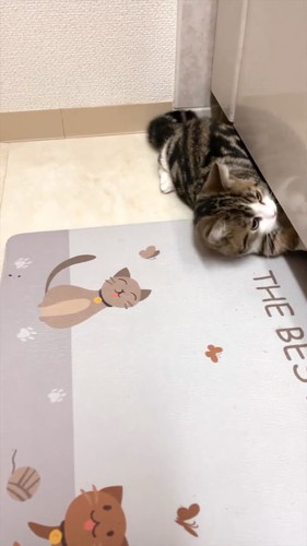 イタズラバレちゃった