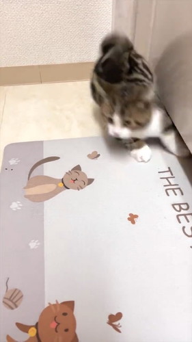 イタズラバレちゃった