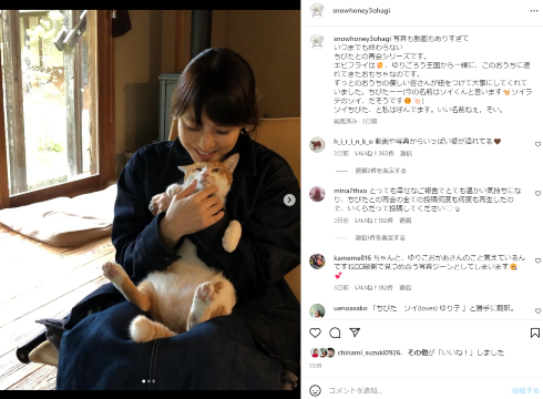 以前育てていた猫・ちびたと再会する石田ゆり子