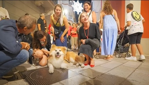 イタリアで人気の秋田犬