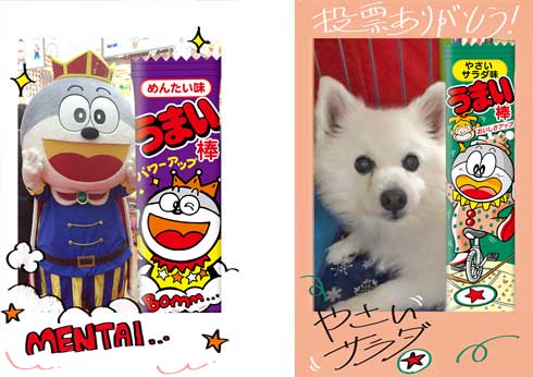 うまい棒 総選挙 フレーバー 人気投票