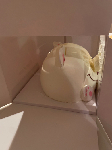 かわいいケーキが悲惨な姿に