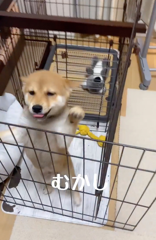 お出迎えビフォーアフター