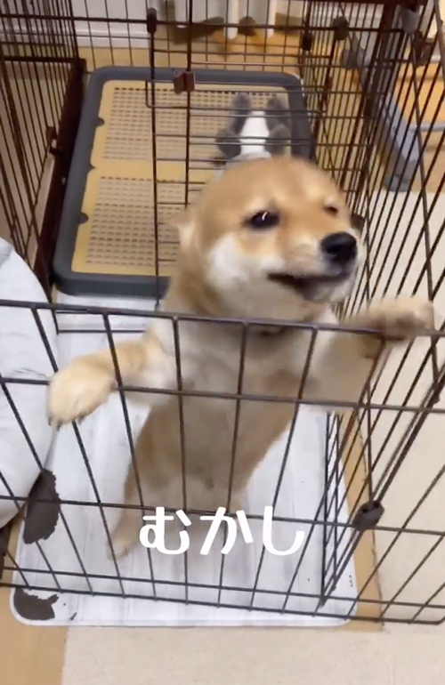 お出迎えビフォーアフター