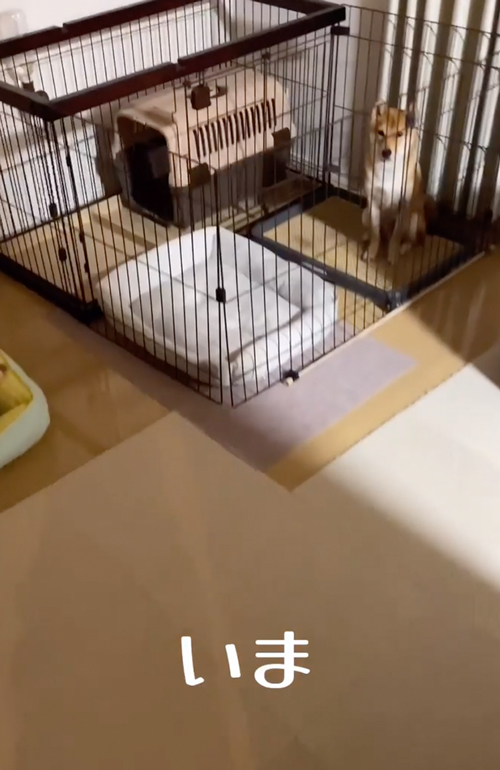 お出迎えビフォーアフター