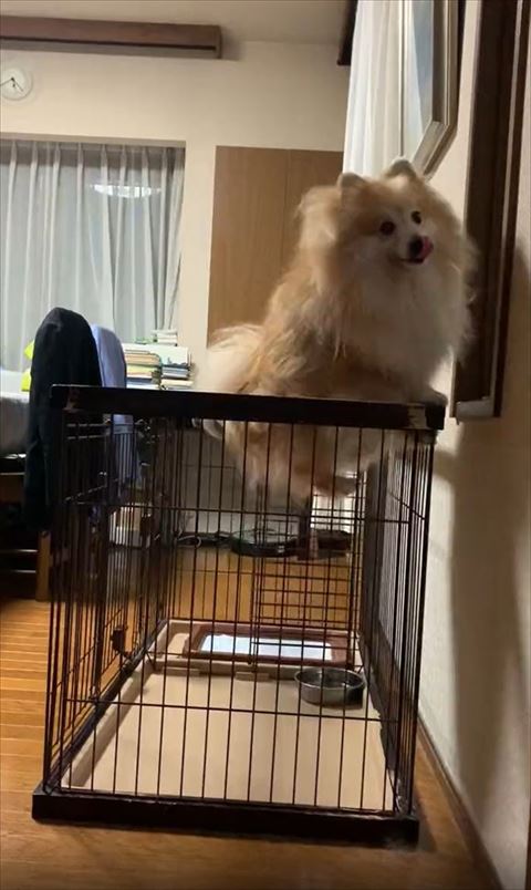 右側にジャンプ