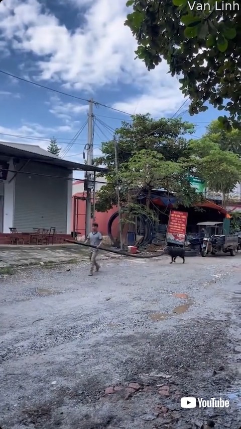 パイプをくわえる犬