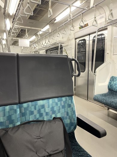 動き出すカマキリ