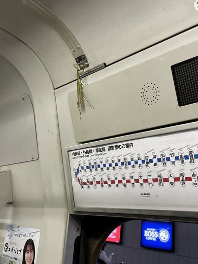 終点についても降りずにドアの上に