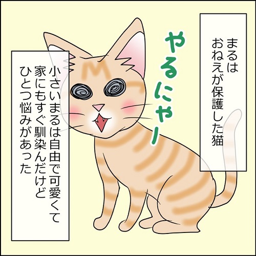 猫漫画1