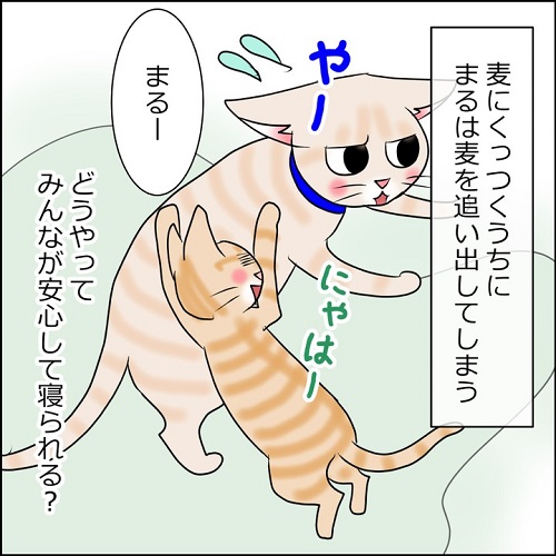 猫漫画4