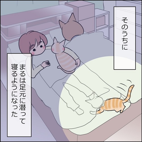 猫漫画6