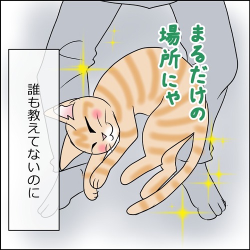 猫漫画7