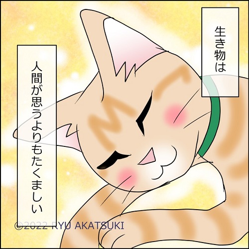 猫漫画8
