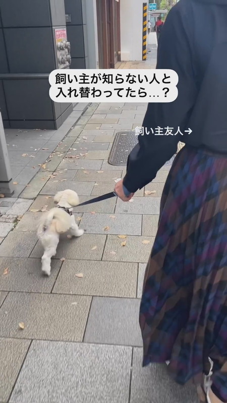 犬界のロッチ中岡