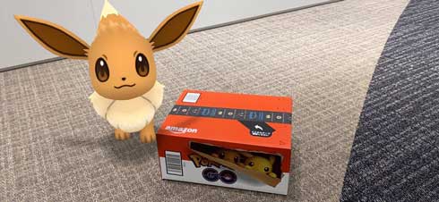 Amazon ポケモンGO 限定ボックス ピカチュウ イーブイ