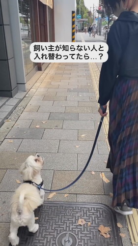 お散歩ドッキリ