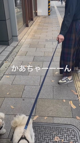 お散歩ドッキリ