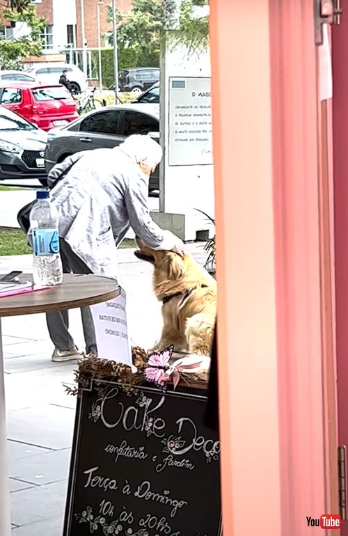 おばあさんに大人気なゴールデンレトリバー