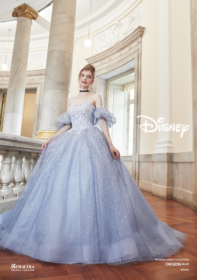 シンデレラのドレスの写真