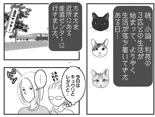 猫漫画1